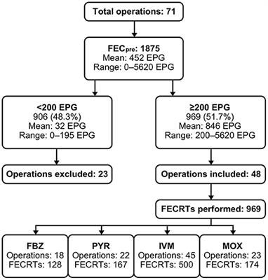 Total Failure of Fenbendazole to Control Strongylid Infections in Czech Horse Operations